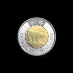 Canadian Toonie Coin Pendant
